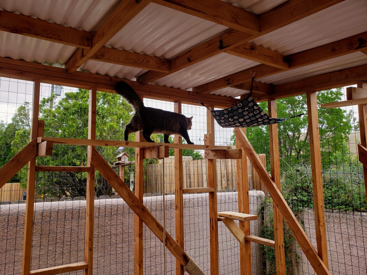 Corner Yard Enclosure