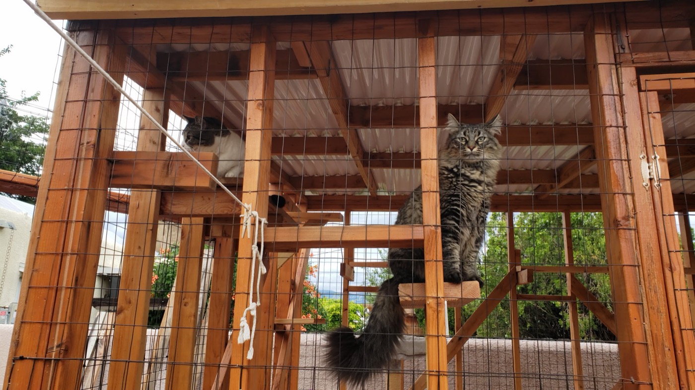 Corner Yard Enclosure