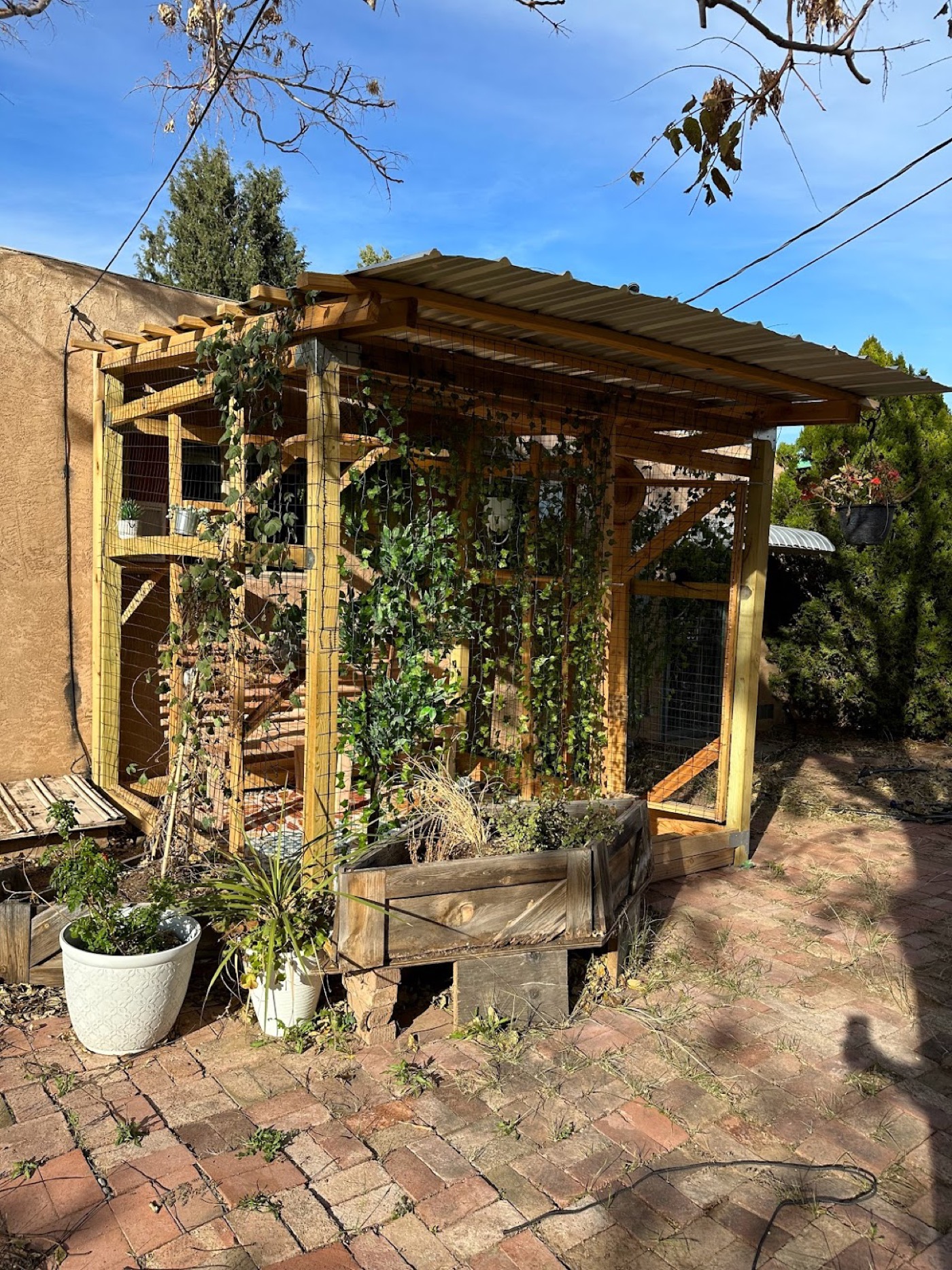 Backyard Catio