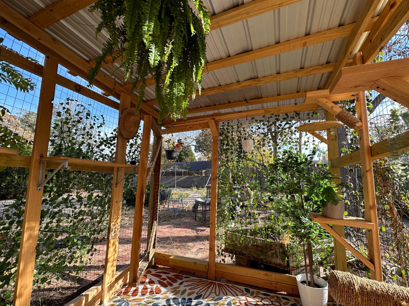 Backyard Catio