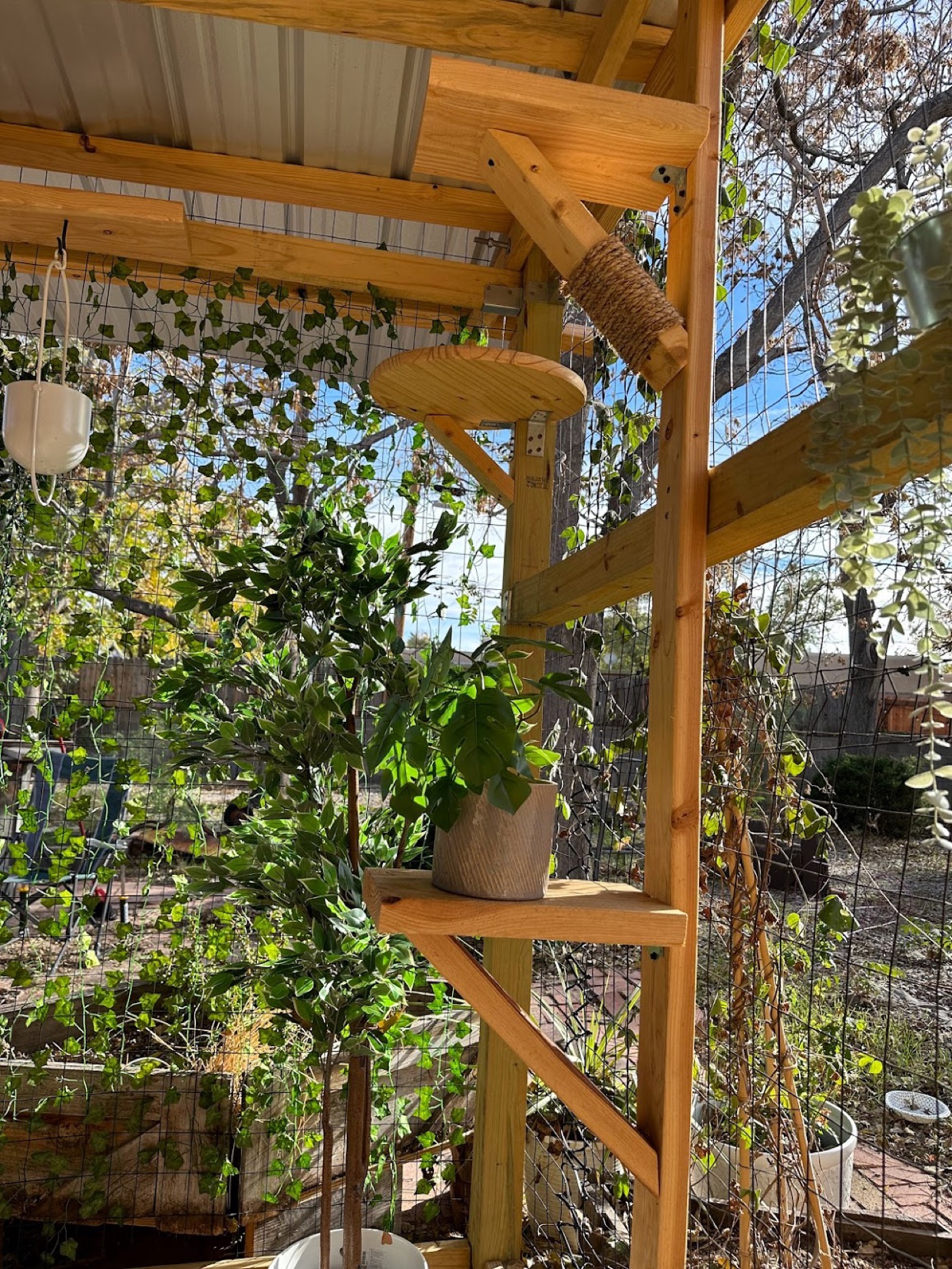 Backyard Catio