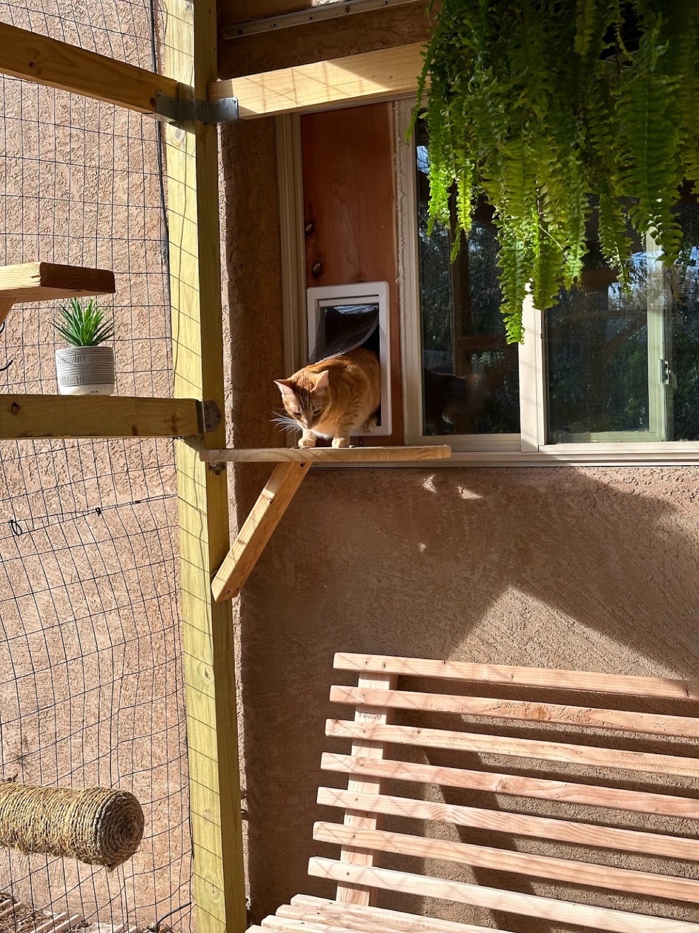 Backyard Catio