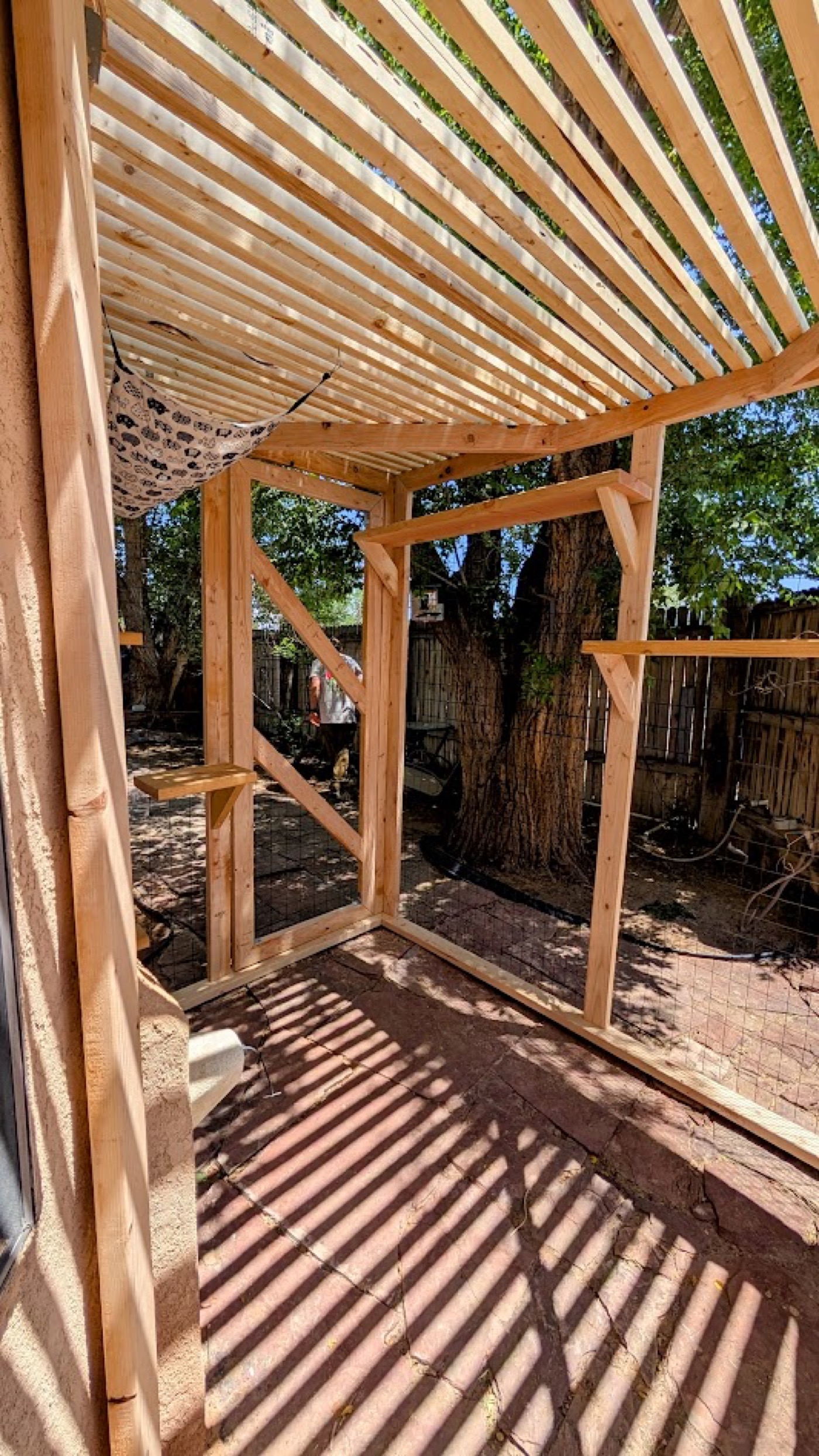 Courtyard Catio