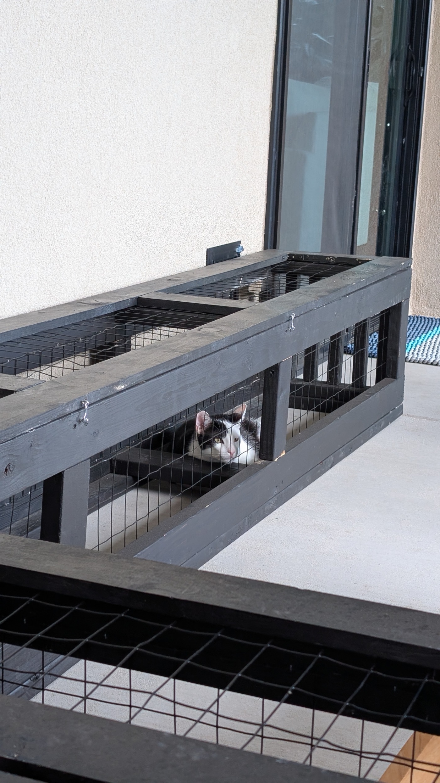 Wide-Run Backyard Catio