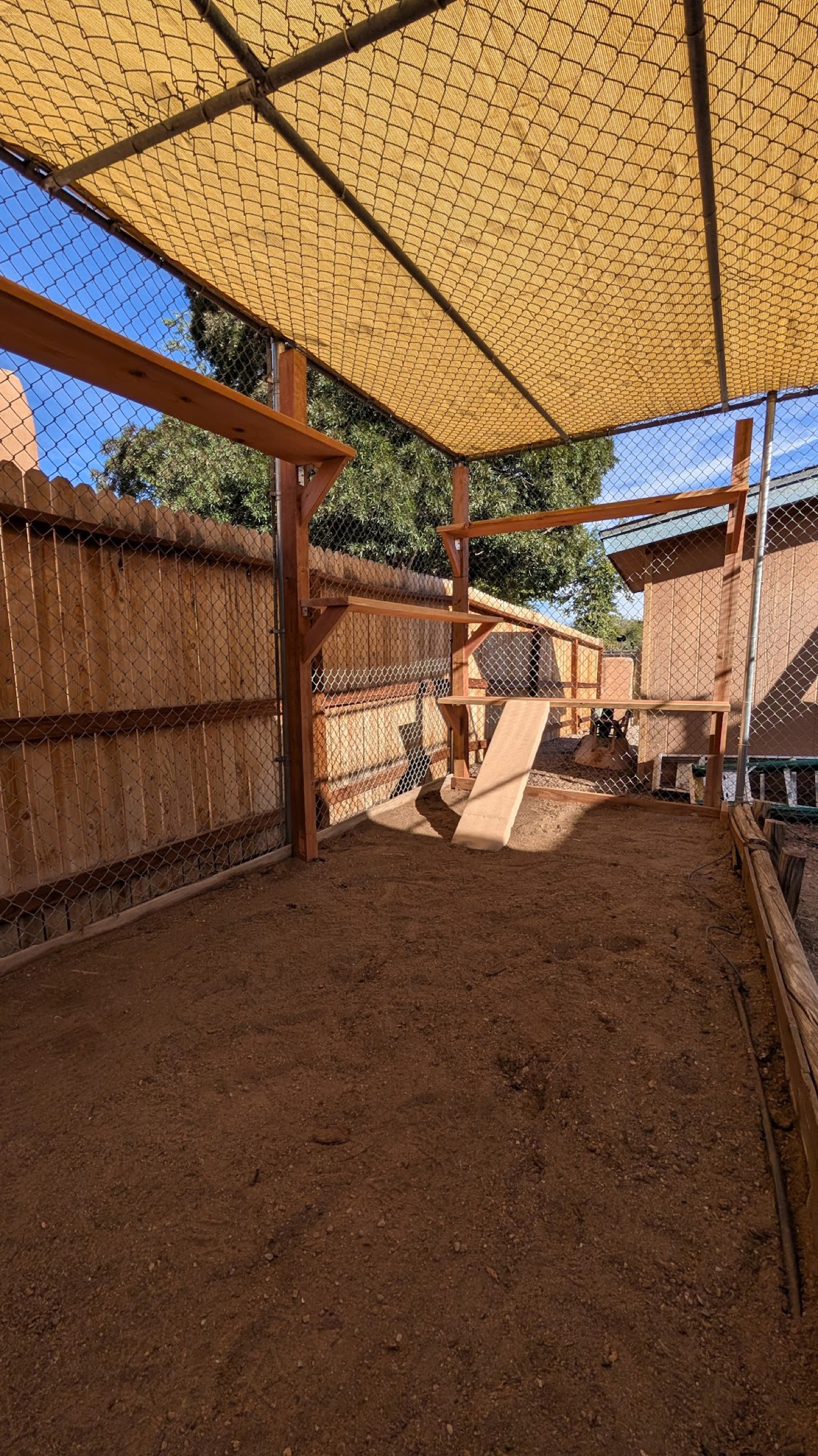 Fall 2025 Build