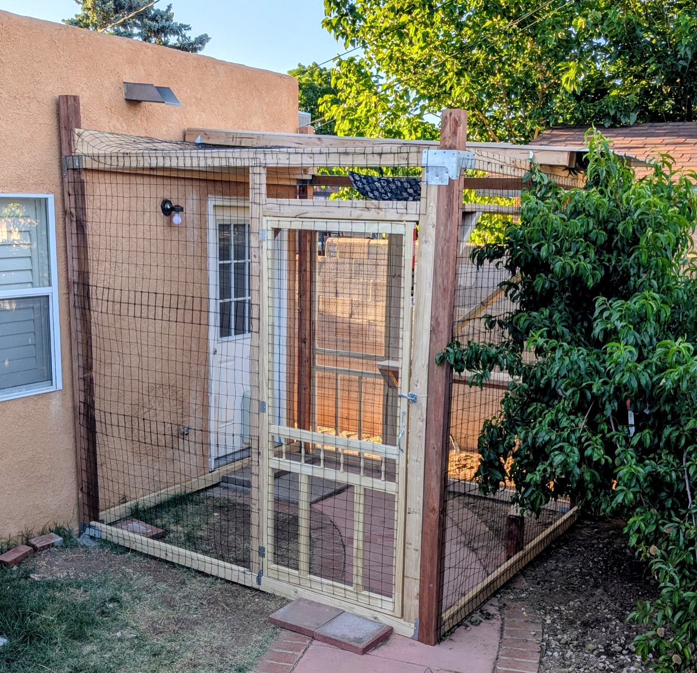 Backyard Wood Catio