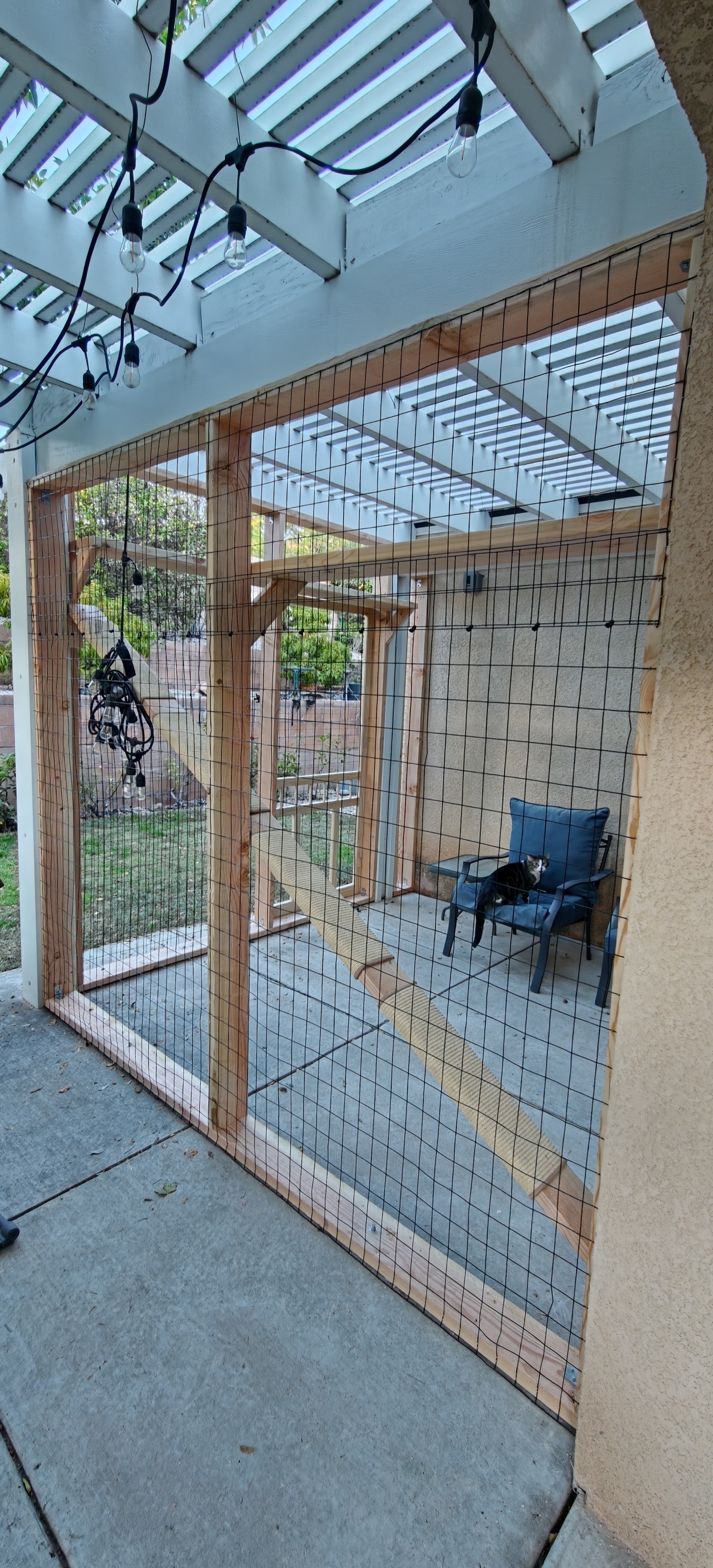 Pergola Patio Enclosure