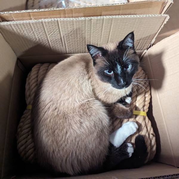 Gus